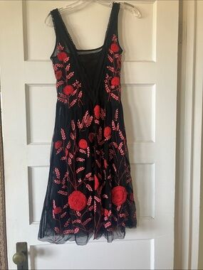Gorgeous anthropologie dress with embroidery and beading